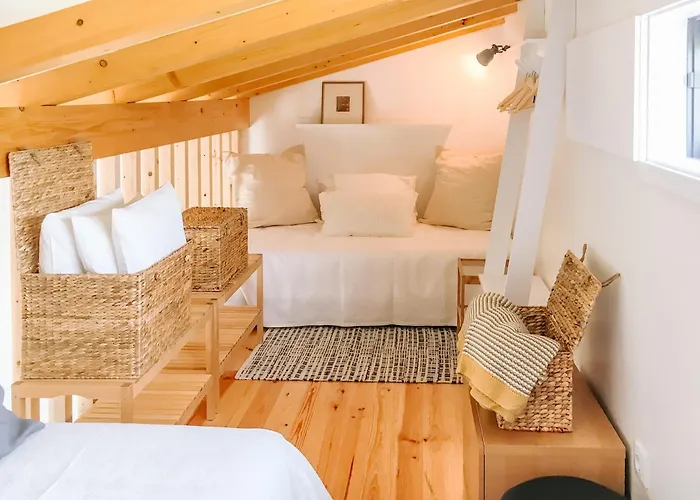 Villa Ria De Aveiro By Mycelia