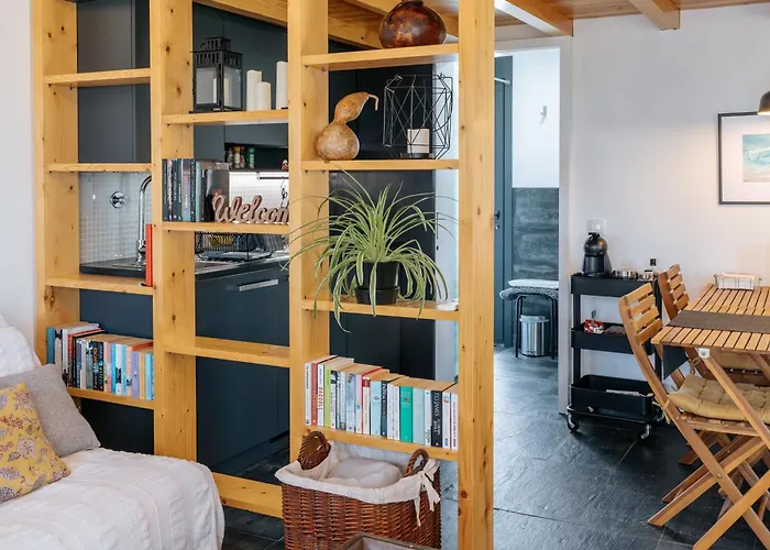 Villa Ria De Aveiro By Mycelia Ovar