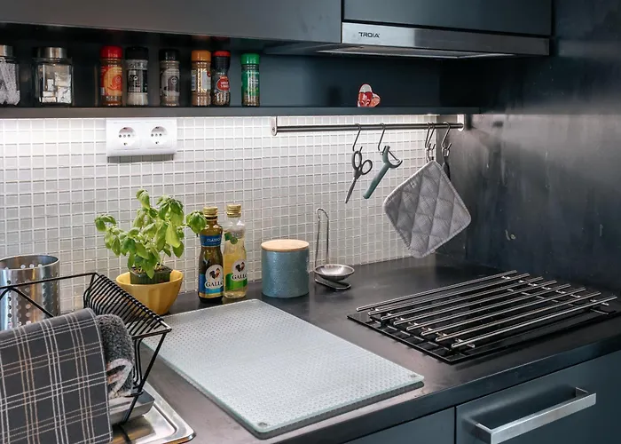 Ria De Aveiro By Mycelia