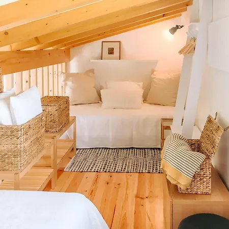 Vila Ria De Aveiro By Mycelia