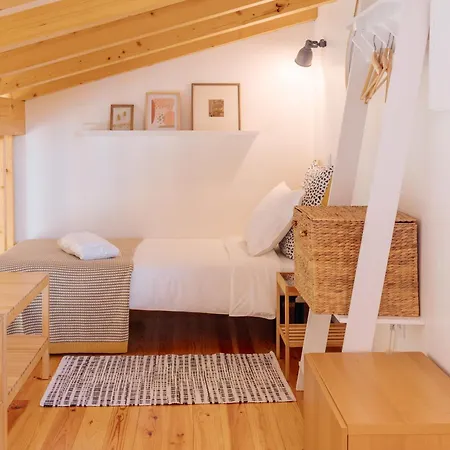 Ria De Aveiro By Mycelia Ovar