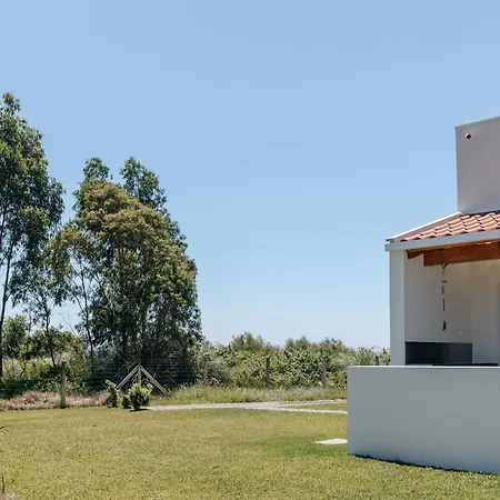 Ria De Aveiro By Mycelia Vila Ovar