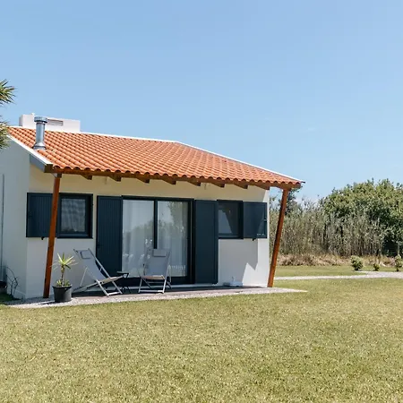 Vila Ria De Aveiro By Mycelia Ovar