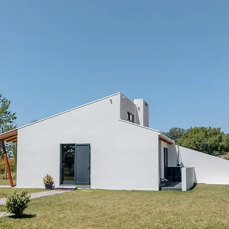 Ria De Aveiro By Mycelia