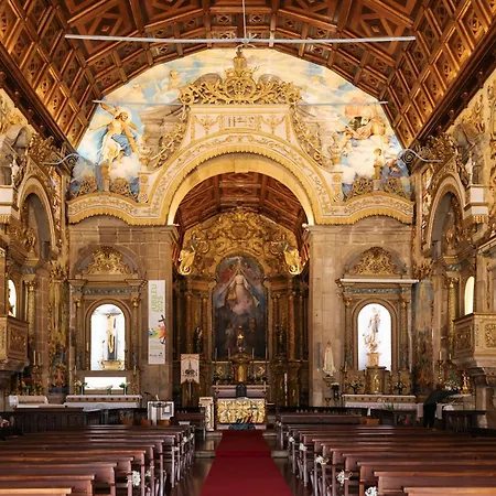 Vila Ria De Aveiro By Mycelia