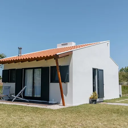 Ria De Aveiro By Mycelia Vila Ovar