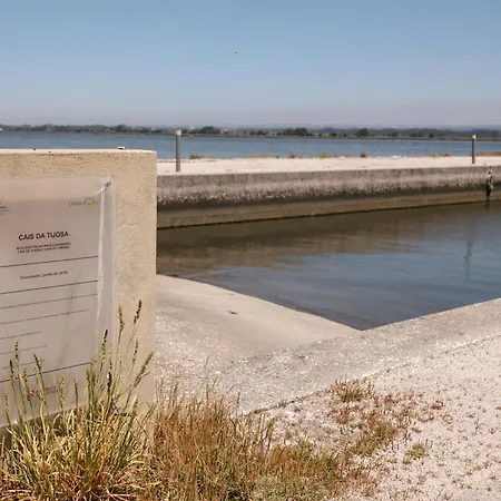 Vila Ria De Aveiro By Mycelia Ovar