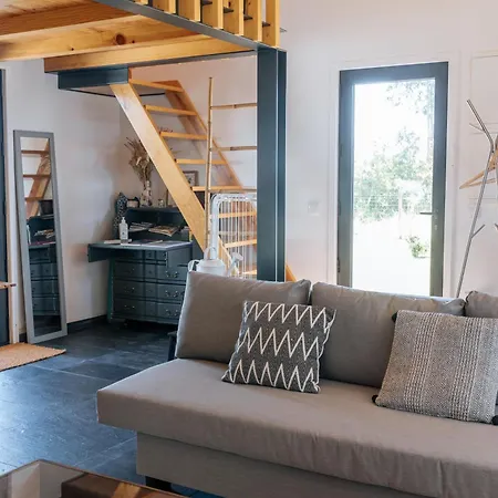 Vila Ria De Aveiro By Mycelia *