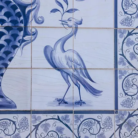 Vila Ria De Aveiro By Mycelia Ovar