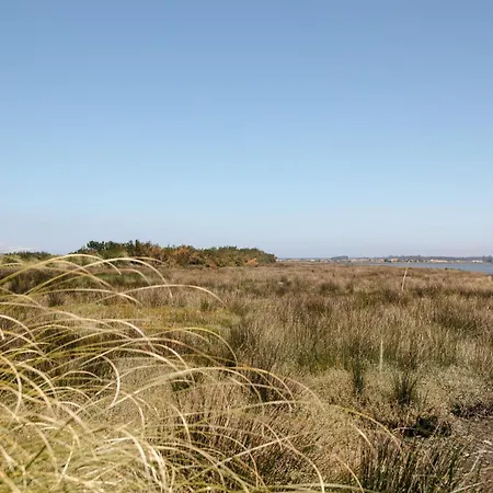 Ria De Aveiro By Mycelia Ovar