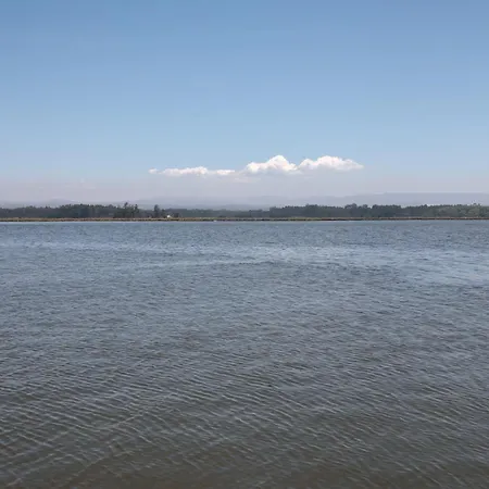 Ria De Aveiro By Mycelia Vila