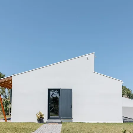 Ria De Aveiro By Mycelia Vila *