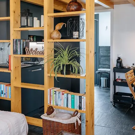 Vila Ria De Aveiro By Mycelia Ovar