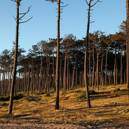 Ria De Aveiro By Mycelia Vila