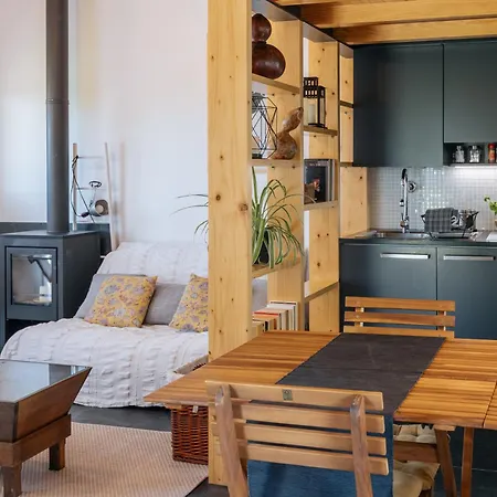 Vila Ria De Aveiro By Mycelia *