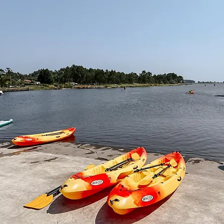 Ria De Aveiro By Mycelia * Ovar