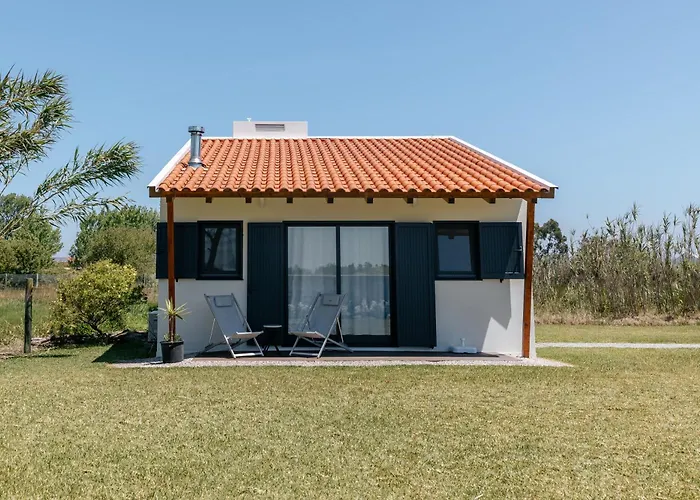 Ria De Aveiro By Mycelia فيلة