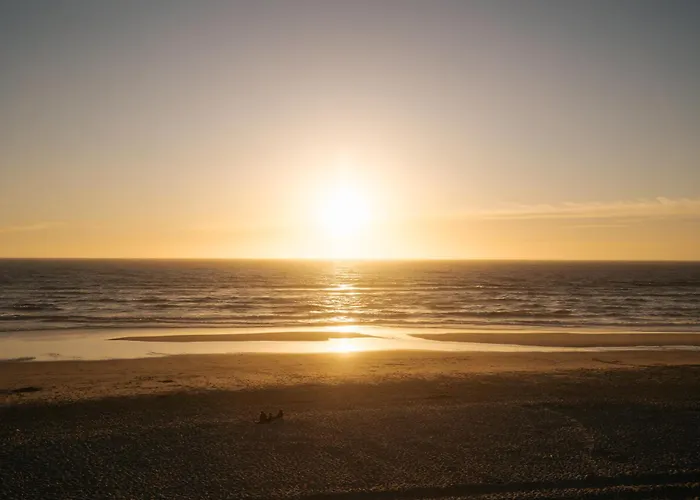 Ria De Aveiro By Mycelia فيلة *