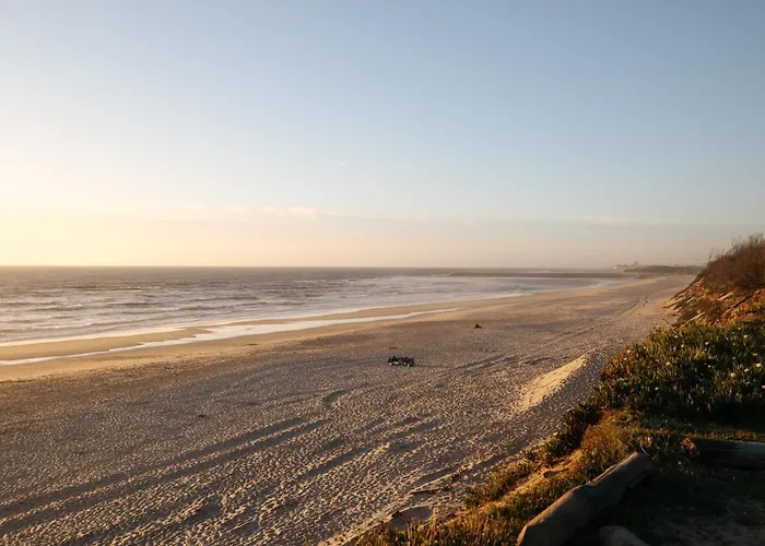 Ria De Aveiro By Mycelia أوفار