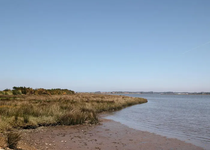 Ria De Aveiro By Mycelia فيلة *