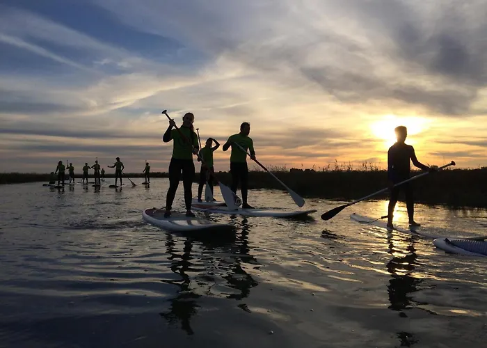 Ria De Aveiro By Mycelia فيلة أوفار