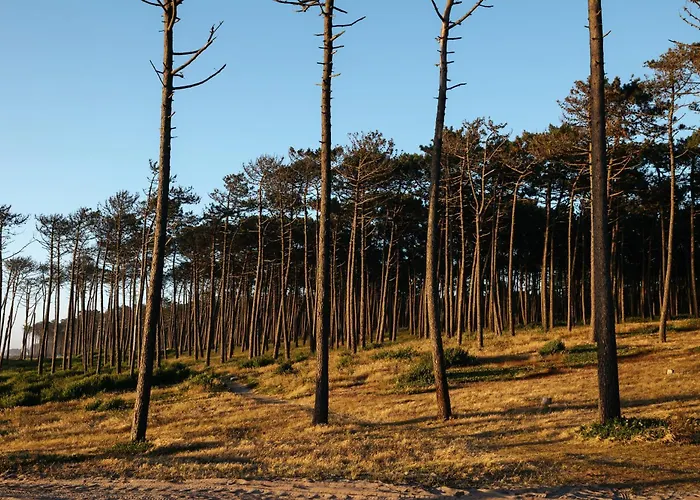 Ria De Aveiro By Mycelia فيلة