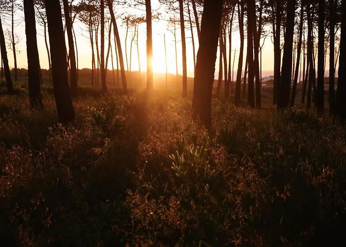 فيلة Ria De Aveiro By Mycelia أوفار