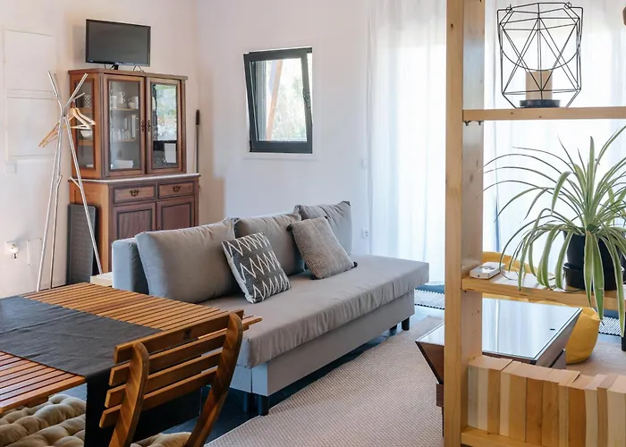 Ria De Aveiro By Mycelia فيلة